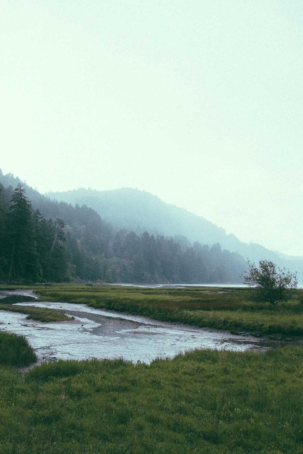 Danau yang belum bangun, Dieng 2023