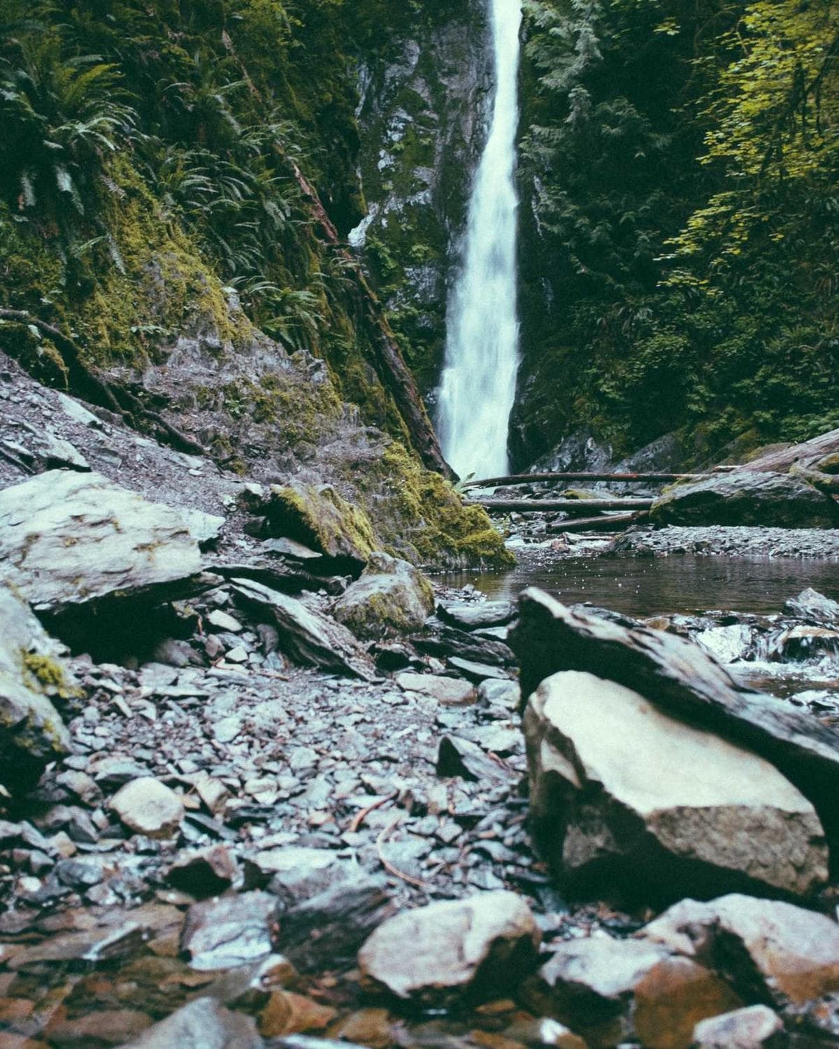 Batu di sungai kecil, Bogor 2022