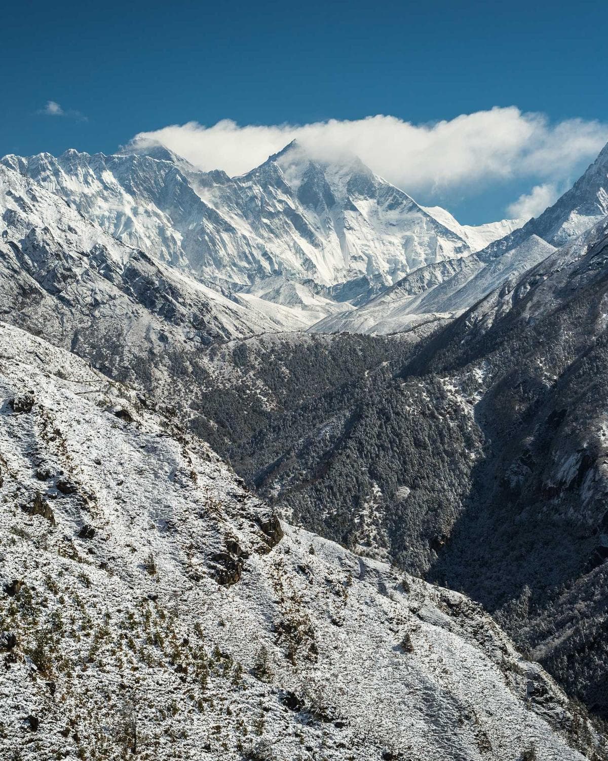 Puncak yang tertutup, Sindoro 2022